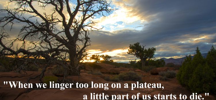 Rookie tip: when we linger too long on a plateau, a little part of us starts to die, Liz Wiseman