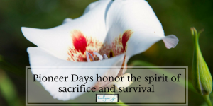 Utah's Pioneer Day, July 24, honors the spirit of sacrifice and survival - photo of a sego lily, Utah's state flower