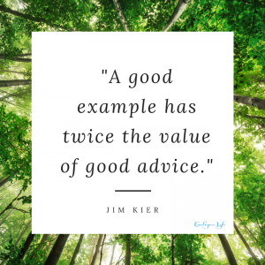 A good example has twice the value of good advice - Jim Kier