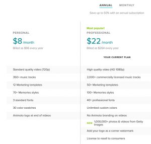 Here is an Animoto review - pricing plans comparing the personal and professional options. For an annual plan, the personal option is $8 per month and the professional option is $22 per month. Double that if you want to only purchase one month at a time.