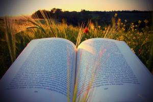 Writing a book template - image of a book with a beautiful layout in a field outside at sunset