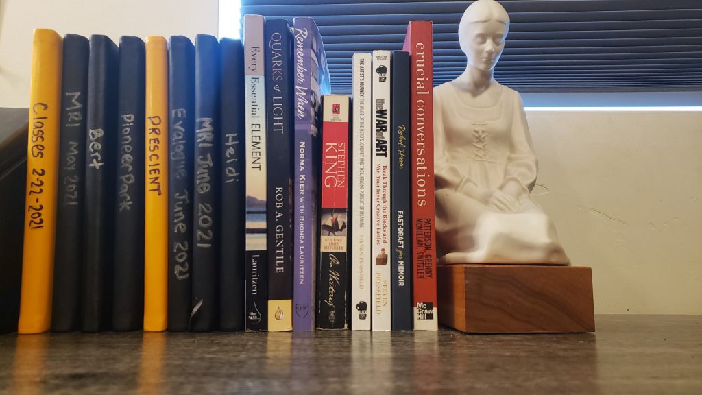 Hardbound books on my desk for my own journal writing, with words written on the spines next to several books on writing. 