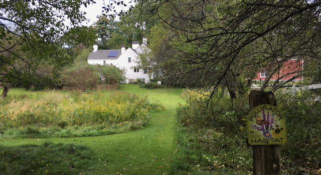 The Moses Tyler Home - Witch Hollow Farm